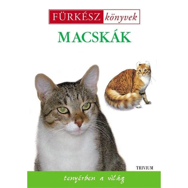 Macskák